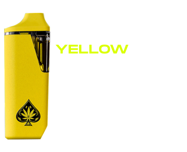 YELLOW GLOW IN THE DARK